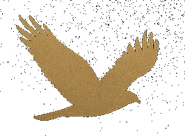 Hawk Logo